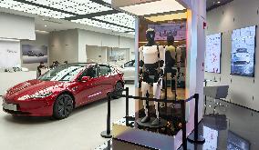Tesla Humanoid Robot Optimus