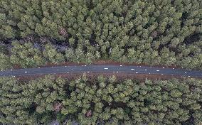 Lindi Nature Conservation Area