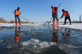 Ice Harvesting for The Ice City of Harbin - China