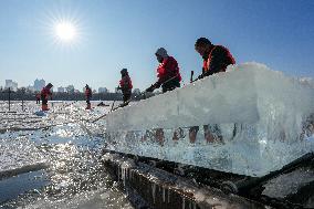 Ice Harvesting for The Ice City of Harbin - China