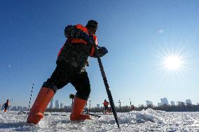 Ice Harvesting for The Ice City of Harbin - China