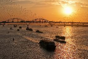 Yangtze River Transportation