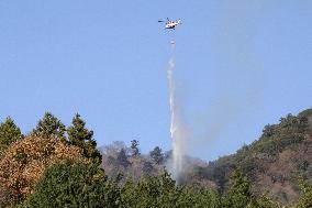 Forest fire in eastern Japan