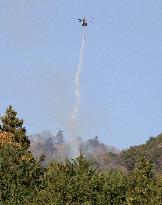 Forest fire in eastern Japan