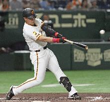 Baseball: Giants slugger Kazuma Okamoto