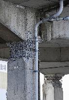 Aftermath of strong earthquake in Aomori Pref.