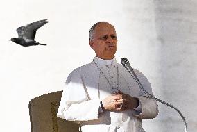 Pope Leo XIV Leads The General Audience - Vatican