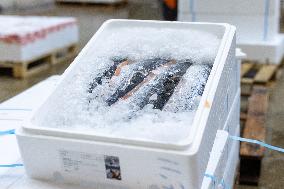 Christmas press visit to the Rungis International Market