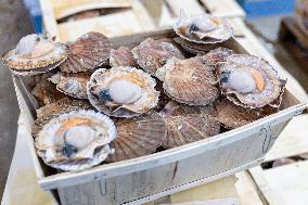 Christmas press visit to the Rungis International Market