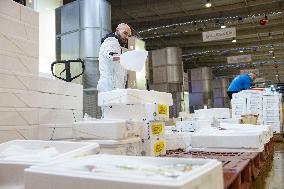 Christmas press visit to the Rungis International Market