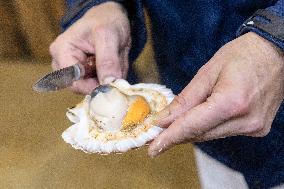 Christmas press visit to the Rungis International Market