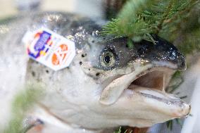 Christmas press visit to the Rungis International Market