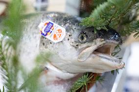 Christmas press visit to the Rungis International Market