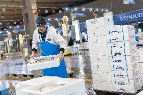 Christmas press visit to the Rungis International Market