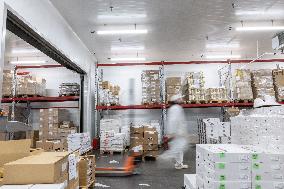 Christmas press visit to the Rungis International Market