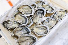 Christmas press visit to the Rungis International Market