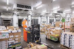 Christmas press visit to the Rungis International Market