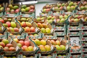 Christmas press visit to the Rungis International Market