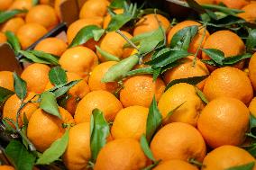 Christmas press visit to the Rungis International Market