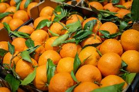 Christmas press visit to the Rungis International Market