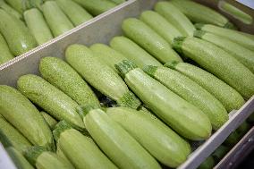 Christmas press visit to the Rungis International Market