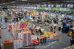 Christmas press visit to the Rungis International Market