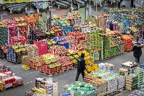 Christmas press visit to the Rungis International Market