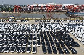 Chinese-made Exported  New Energy Vehicles