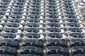 Chinese-made Exported  New Energy Vehicles