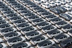 Chinese-made Exported  New Energy Vehicles