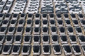 Chinese-made Exported  New Energy Vehicles