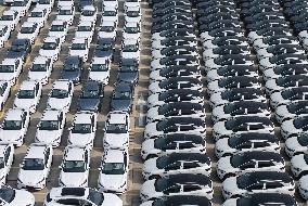 Chinese-made Exported  New Energy Vehicles