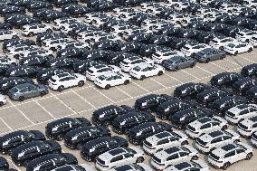 Chinese-made Exported  New Energy Vehicles