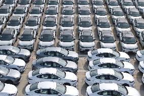 Chinese-made Exported  New Energy Vehicles