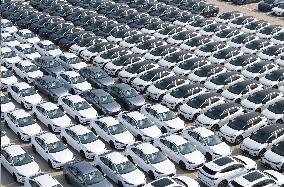 Chinese-made Exported  New Energy Vehicles