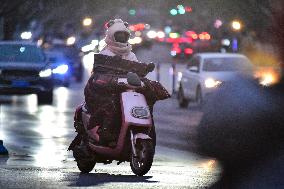 Cold Wave Blue Warning