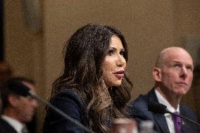 House Committee on Homeland Security hearing  entitled “World Wide Threats to the Homeland”