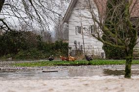 Canada Suffers Severe Flooding and Thousands Evacuated