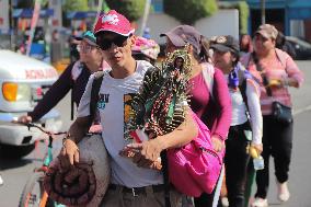 Pilgrims Continue Their Journey Toward Basilica of Guadalupe - Mexico
