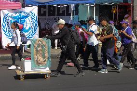 Pilgrims Continue Their Journey Toward Basilica of Guadalupe - Mexico