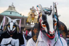 Pilgrims Continue Their Journey Toward Basilica of Guadalupe - Mexico