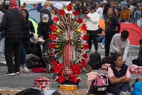 Pilgrims Continue Their Journey Toward Basilica of Guadalupe - Mexico