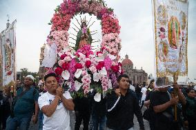 Pilgrims Continue Their Journey Toward Basilica of Guadalupe - Mexico