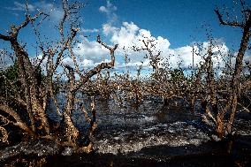 One Year After Cyclone Chido - Mayotte