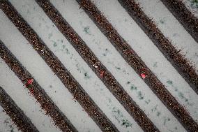 Floodwaters in Abbotsford - Canada