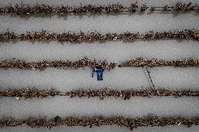 Floodwaters in Abbotsford - Canada