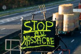 Farmers Blockade On The A64 Motorway Near Carbonne - France