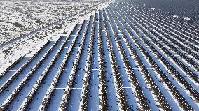 Solar Thermal + Photovoltaic" Integrated Base in Hami