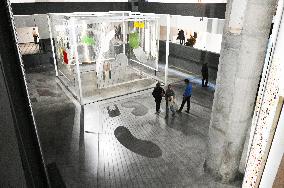 Illustration - Fondation Cartier