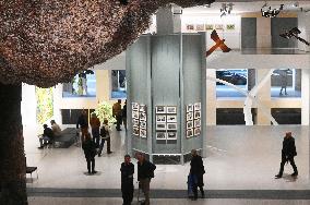 Illustration - Fondation Cartier